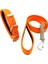 Turuncu Köpek Tasması ve Köpek Gezdirme Seti 2