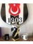 Dekorati̇f Kartal / Karakartal/beşi̇ktaş Kartal Bi̇blosu 3