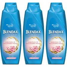 Blendax Koruyucu Ve Güçlendirici Bakım - Onarıcı Yağlar Gül Yağı Şampuan 500 Ml X 3 Adet