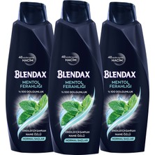 Blendax Erkekler Için Mentollü Şampuan 500 Ml X 3 Adet