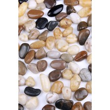 Alyones 1 kg Dekor Amaçlı, Saksı, Bahçe Için Çakıl Taşları