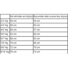 Biberon Çocuk Giyim Haliş Kalp Desenli Yakalı Elbise 2/10