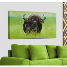 Dünyatablo Bofalo Dekoratif Kanvas Tablo 1210