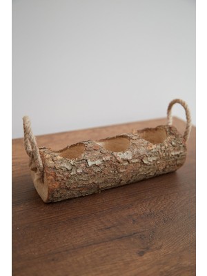 Alyones Üçlü Ahşap Kütük Saksılık