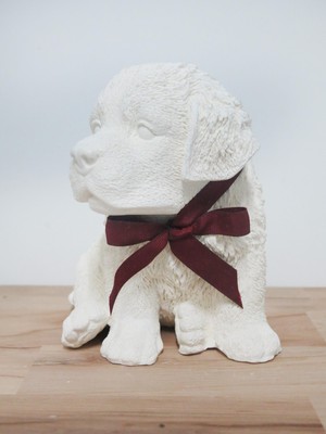 Missi Bordo Kurdelalı Gardenya Kokulu Köpek Biblo