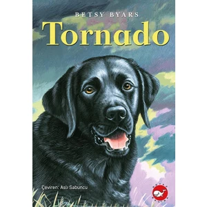 Tornado - Betsy Byars