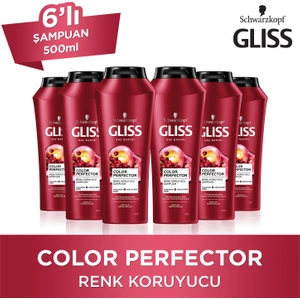 Color Perfector Renk Koruyucu Şampuan 500 Ml X 6 Adet