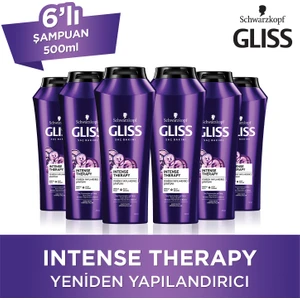 Intense Therapy Şampuan 500 Ml X 6 Adet
