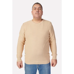 Trist Star Camel Büyük Beden Bej Bisiklet Yaka Pamuklu Erkek Kazak TRIST-2110