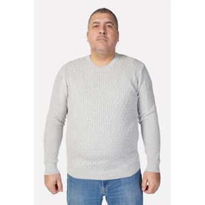 Trist Star Büyük Beden GRI Pamuklu Erkek Kazak Bisiklet Yaka Günlük Kullanım İçin