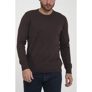 Trist Star  Erkek Kahve %100 Pamuk Bisiklet Yaka Triko Kazak TRIST-1101