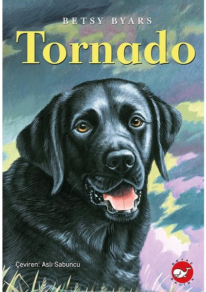 Tornado - Betsy Byars