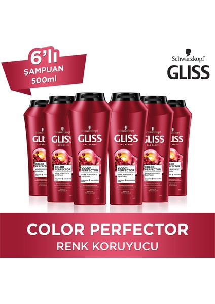 Color Perfector Renk Koruyucu Şampuan 500 Ml X 6 Adet