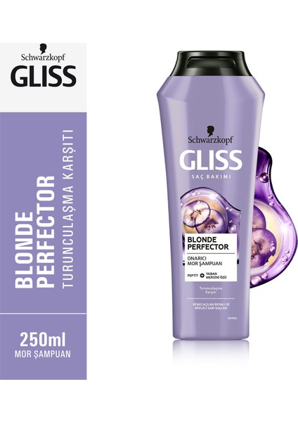 Blonde Perfector Mor Şampuan 250 Ml X 3 Adet