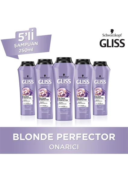 Blonde Perfector Mor Şampuan 250 Ml X 5 Adet