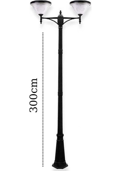 2X100W Güneş Enerjili Solar Bahçe Armatür (300CM Direkli)