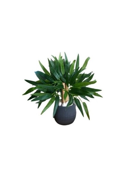 Yapay Bambu Ağacı Sukulent Gri Antrasit Saksıda 35 cm Boyunda Bambo Çiçek modelleri