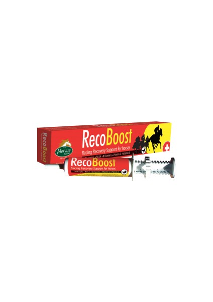 Recoboost Paste