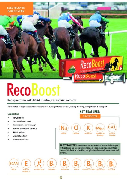 Recoboost Paste