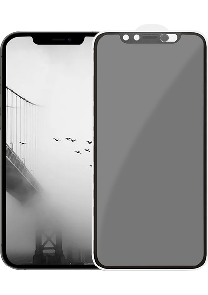 Prıvacy Plus Apple iPhone 13 Mını Ekran Koruyucu
