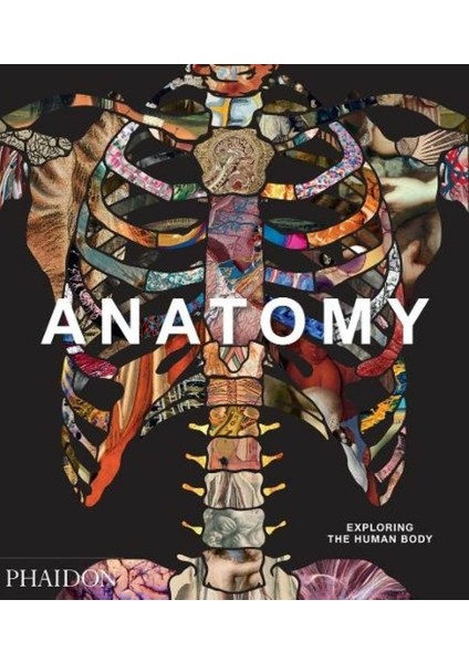 Anatomy: Exploring The Human Body