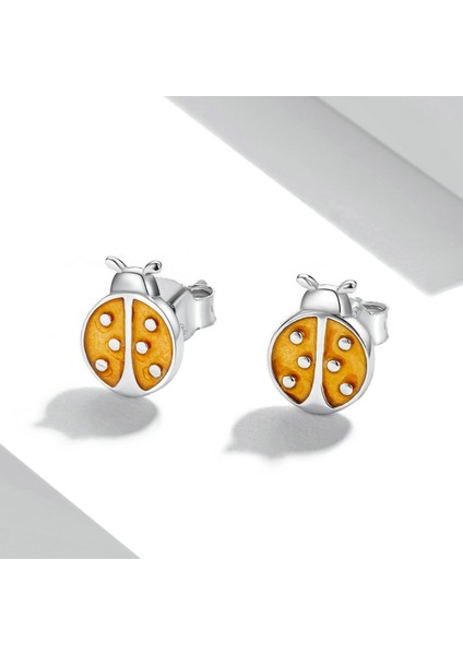 S925 Sterlıng Silver Turuncu Lady Blug Kulak Çıtçıtları Kadın Küpe (Yurt Dışından) fırsatları
