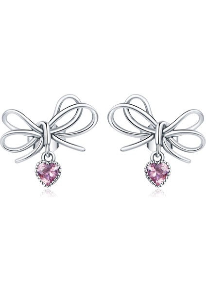 S925 Sterlıng Gümüş Bowknot Kadın Küpe (Yurt Dışından)