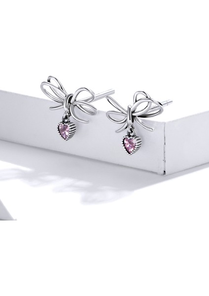 S925 Sterlıng Gümüş Bowknot Kadın Küpe (Yurt Dışından) fiyatları