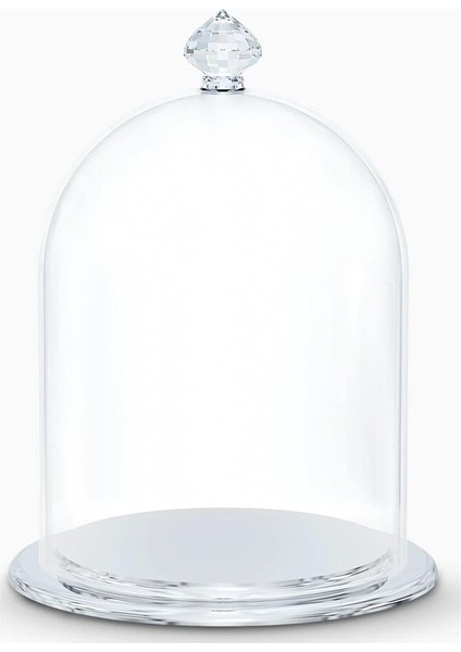 5553155 Ev Dekorasyonu Bell Jar Dısplay Small