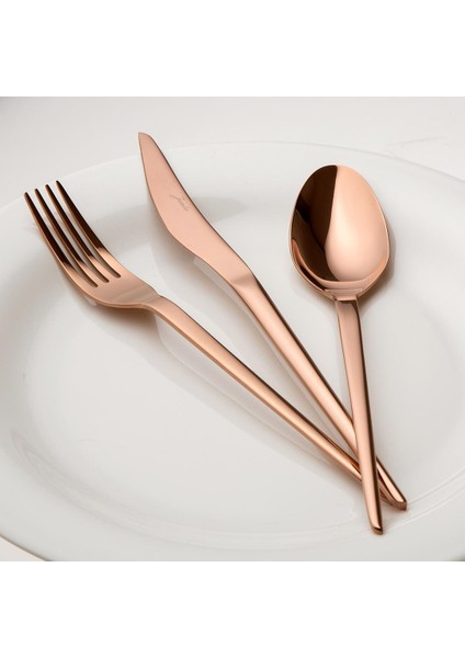 5700 Cius 12 Kişilik 84 Parça Titanyum Bronz Çatal Kaşık Bıçak Takımı modelleri