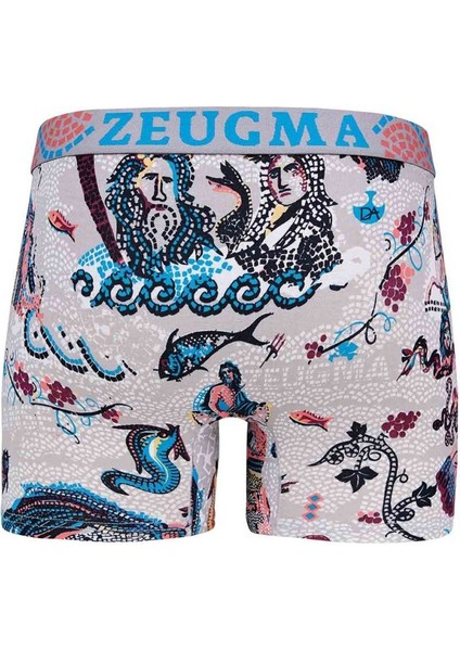 Erkek Modal Çok Renkli Baskılı Torbalı Normal Paça Boxer 1806