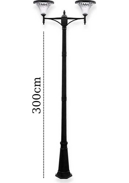 2x100W Güneş Enerjili Solar Bahçe Armatür 300CM Direkli