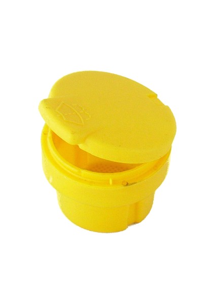 Renault Cam Su Kapağı (Megane 3 / Fluance) 289158965R