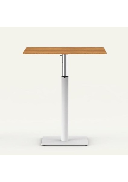 Tablalı Sehpa Ayağı 13.520 - Yükseklik Ayarlı Pistonlu Metalik Gri modelleri