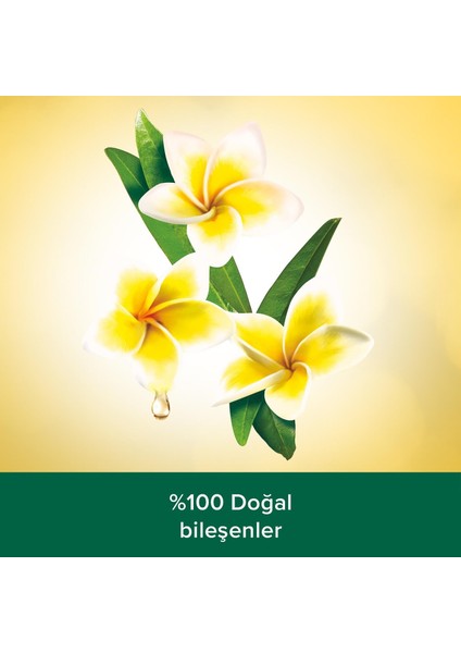Palmolıve Dus Jelı 500ml Feel Good