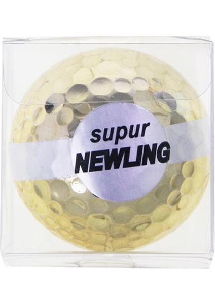 Eğitim Egzersiz Bodrum Arka Bahçesi Eğitimi 1 Parça (Yurt Dışından)