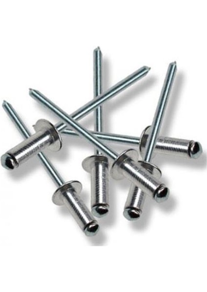 Perçin Pop 4X15 mm (10 Adet)