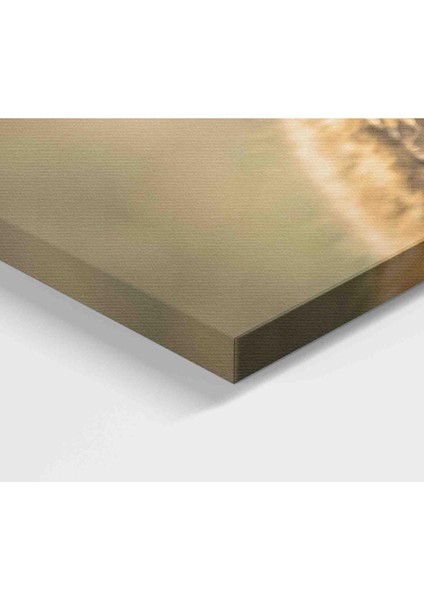 Şaşkın Sincap Dekoratif Kanvas Tablo 1158 modelleri