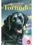 Tornado - Betsy Byars 1