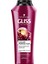 Color Perfector Renk Koruyucu Şampuan 500 Ml X 6 Adet 2