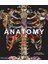 Anatomy: Exploring The Human Body 1