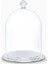 5553155 Ev Dekorasyonu Bell Jar Dısplay Small 1