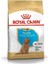 Royal Canin Poodle Junior Yavru Köpek Maması 3 Kg. 1