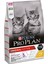 Pro Plan Kitten Tavuklu Pirinçli Yavru Kedi Maması 10 kg 1