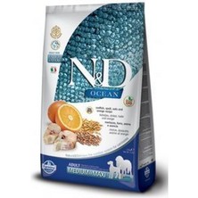 N&D Nd Ocean Düşük Tahıllı Balıklı ve Portakallı Yetişkin Köpek Maması 12 kg