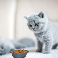 Nicky Kitten Tahıllı Yüksek Protein Tavuklu Yavru Kedi Maması 15 kg