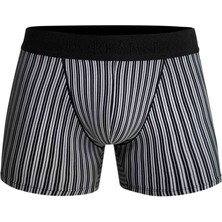 Doreanse Erkek Modal Çizgi Desenli Normal Paça Boxer 1866