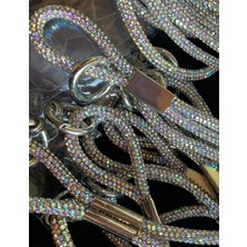 Swarovski Taşlı Janjanlı Gümüş Üzerine Renkli Taşlı Telefon Boyun Askısı