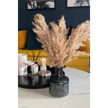 Alyones Dekoratif 7'li Natural Pampas 100CM Boyunda