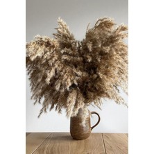 Alyones 7'li Dekoratif Yapay Pampas Çiçek Seti – Doğal Renkli, Yumuşak Dokulu, Ev ve Ofis Dekoru için Premium Tasarım